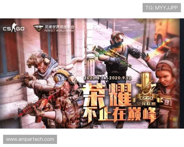 完美世界竞技平台官网入口官方入口常见登录问题及解决方案
